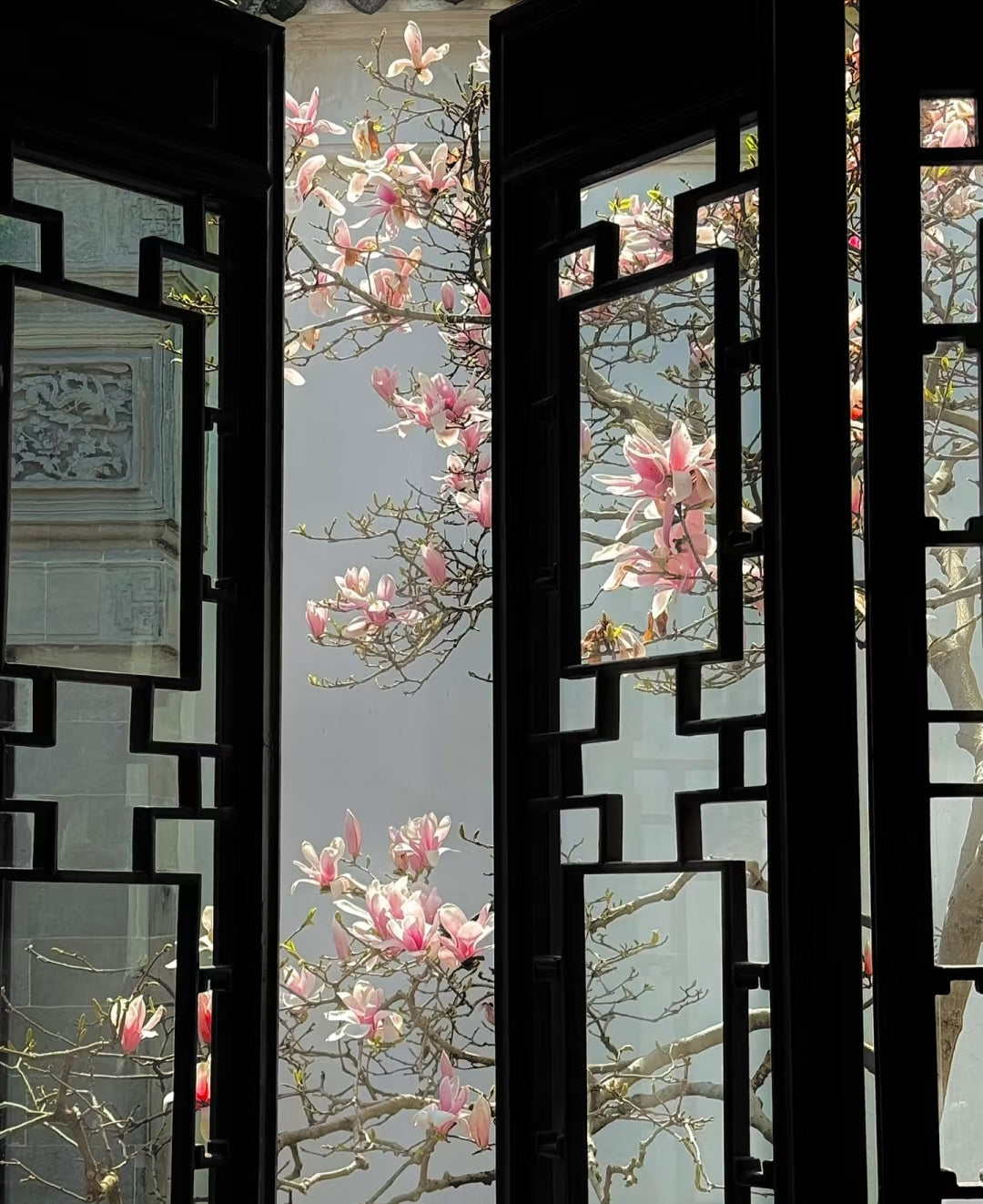 Suzhou 2-Day Ancient Elegance Tour: Water Towns & Timeless Gardens