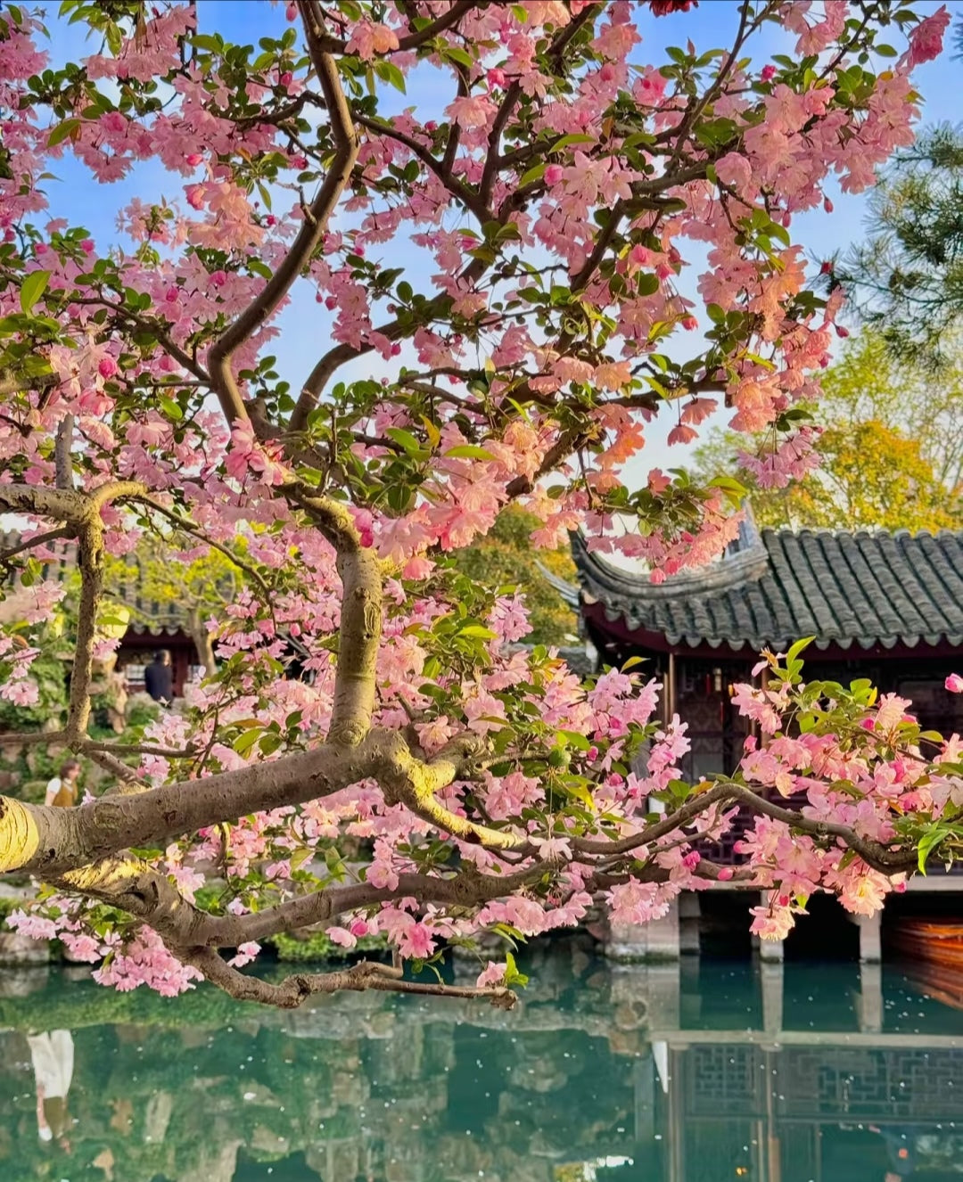 Suzhou 2-Day Ancient Elegance Tour: Water Towns & Timeless Gardens