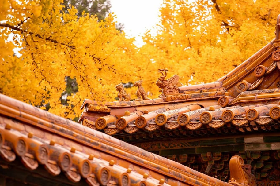 the-forbidden-city-tour