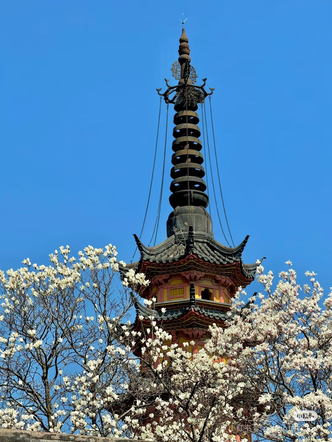 Suzhou 2-Day Ancient Elegance Tour: Water Towns & Timeless Gardens