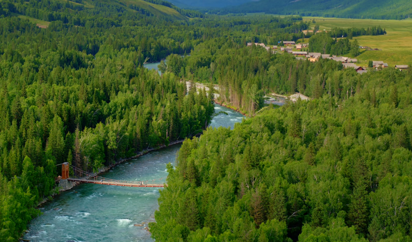 Xinjiang: Exclusive 7-Day Tour on Duku Highway