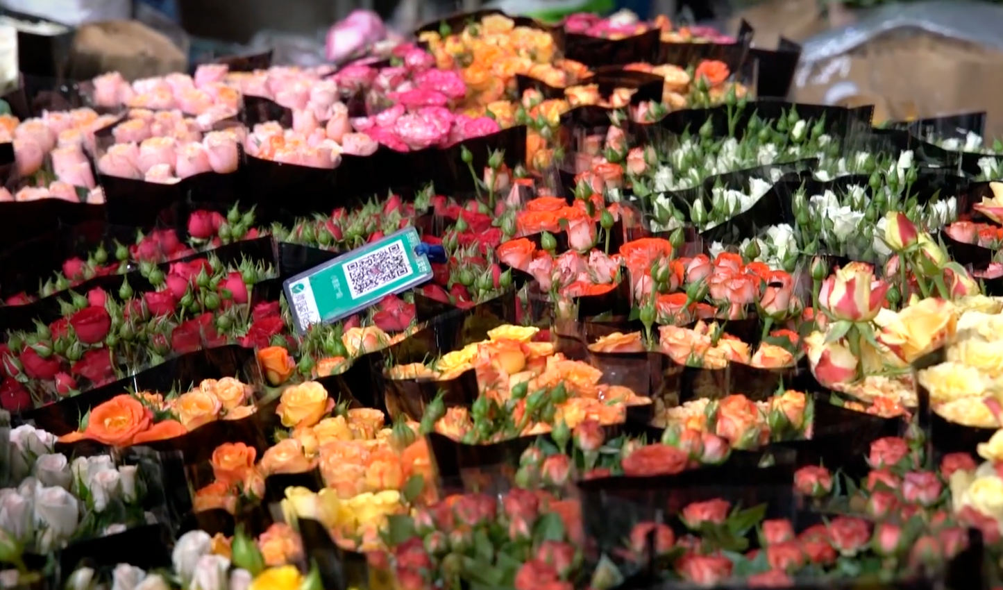 Kunming: The City of Eternal Spring Private Tour (8 hours)