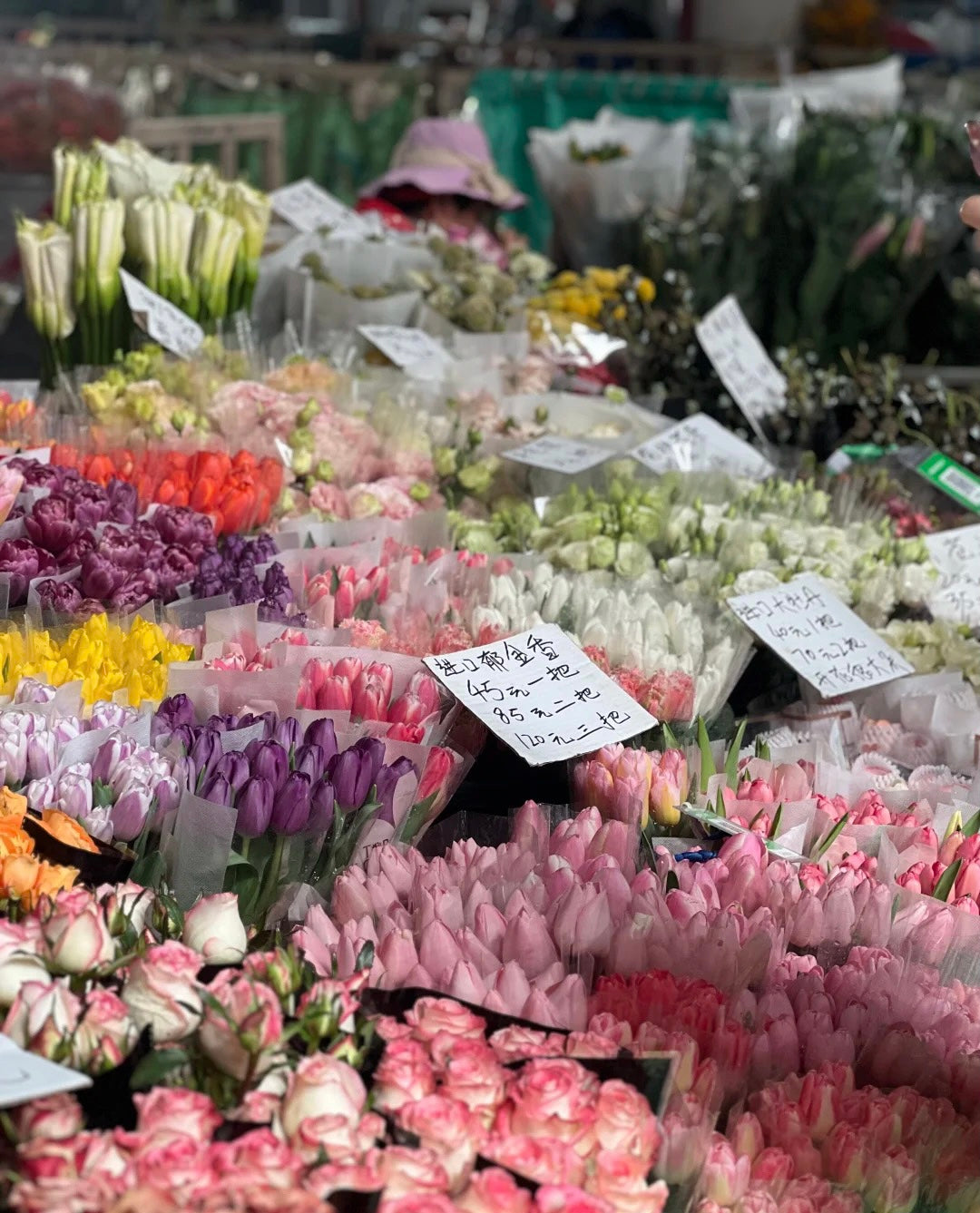 Kunming: The City of Eternal Spring Private Tour (8 hours)
