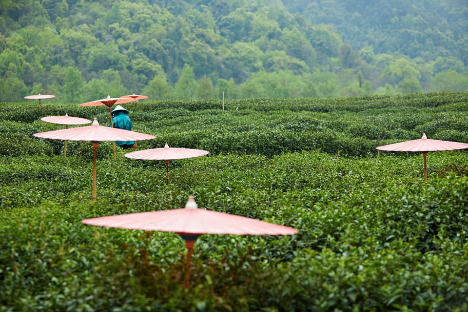 hangzhou-private-day-trip