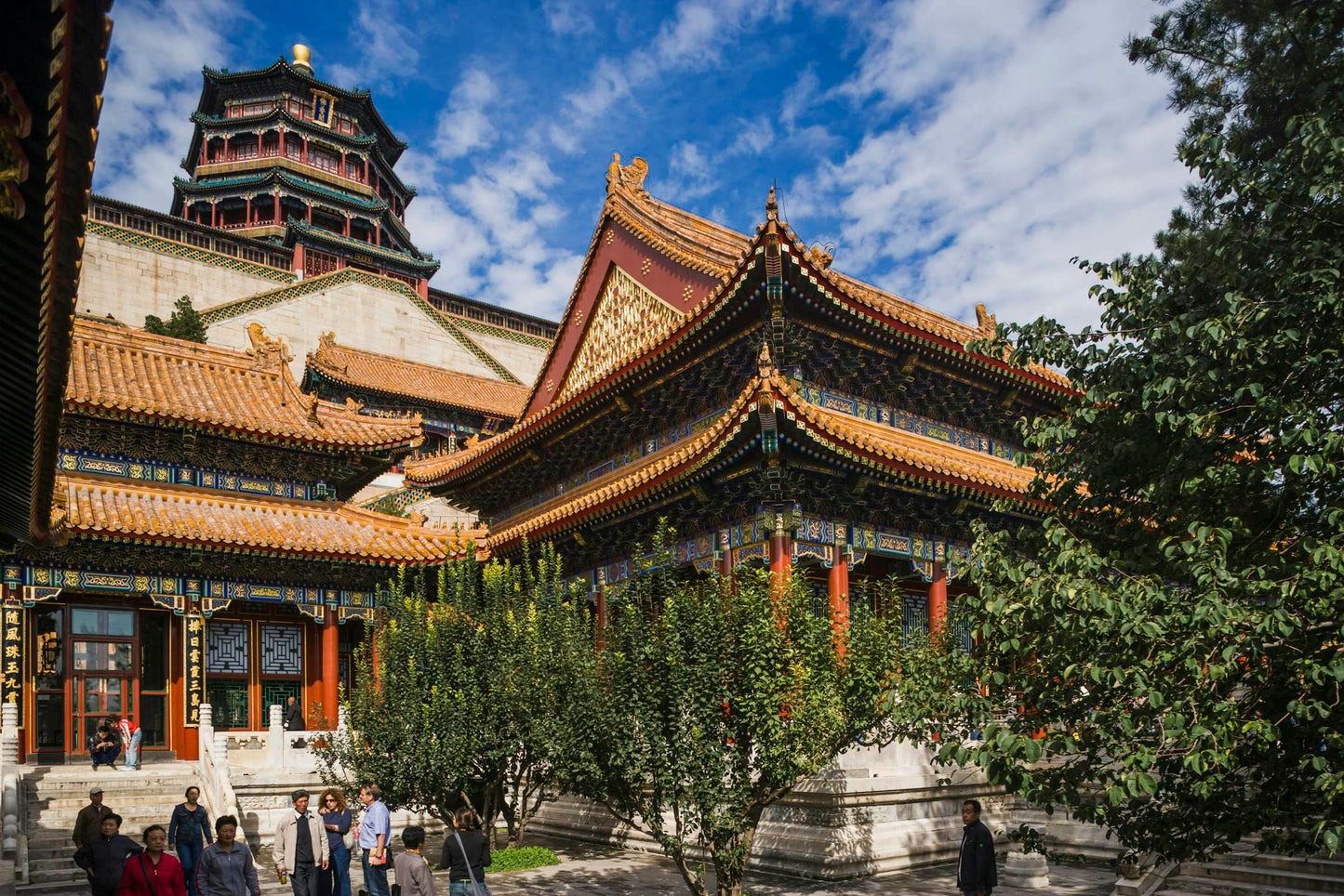 The Ultimate Beijing Experience: Pandas Garden, Summer Palace Splendor, and Temple of Heaven Tranquility