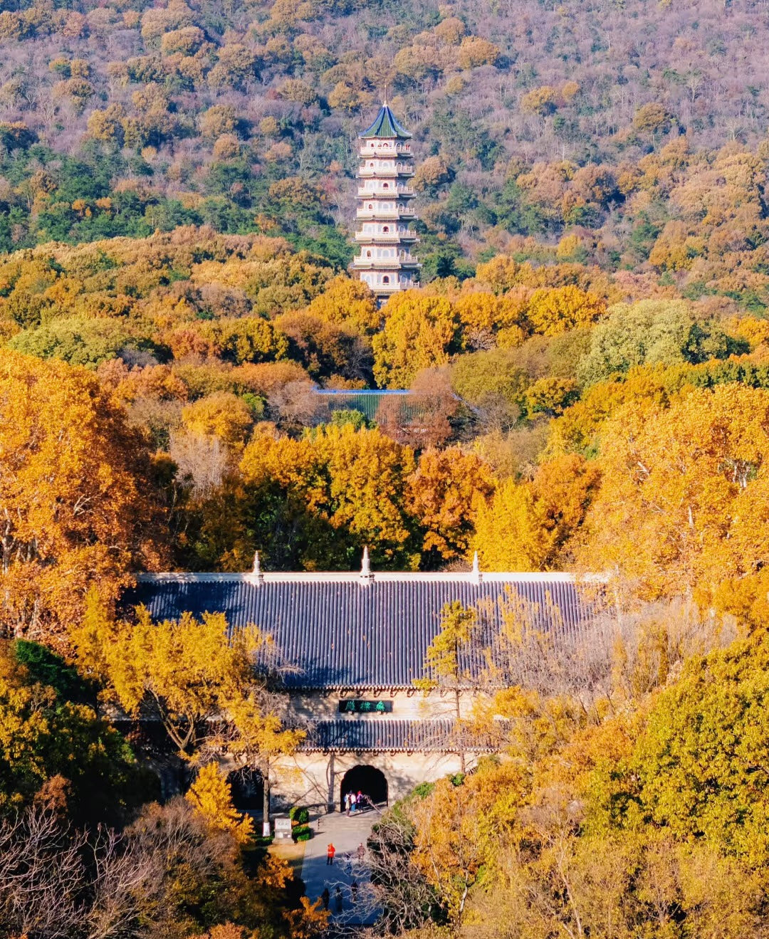 Nanjing: 2-Day China’s Imperial Past and Dynamic Present Journey