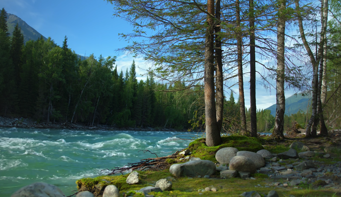 Xinjiang: Exclusive 7-Day Tour on Duku Highway