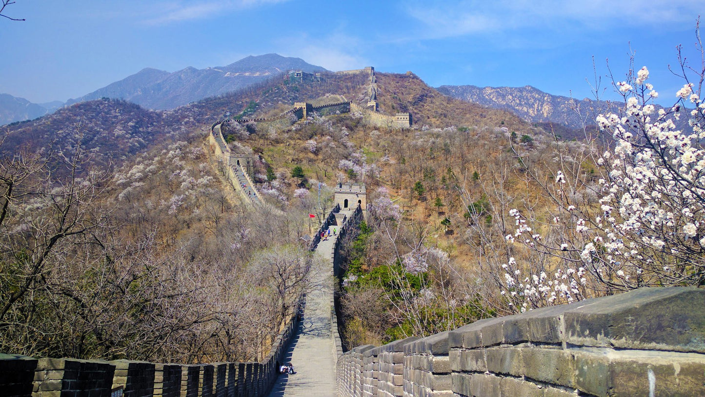 Beijing's Historical Gems: Private Tour to Mutianyu Great Wall and Ming Tombs