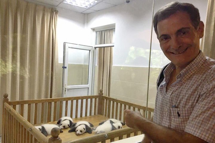 Chengdu: Private Half-Day All-inclusive Chengdu Panda Breeding Center Tour