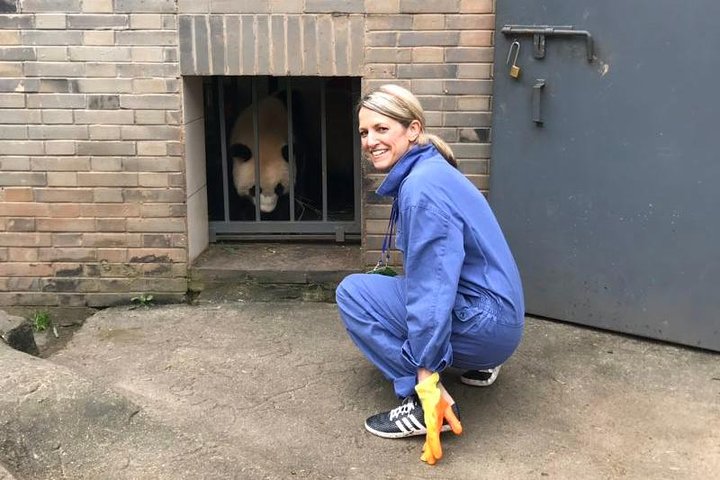 Chengdu: Private Full Day Panda Volunteer Tour