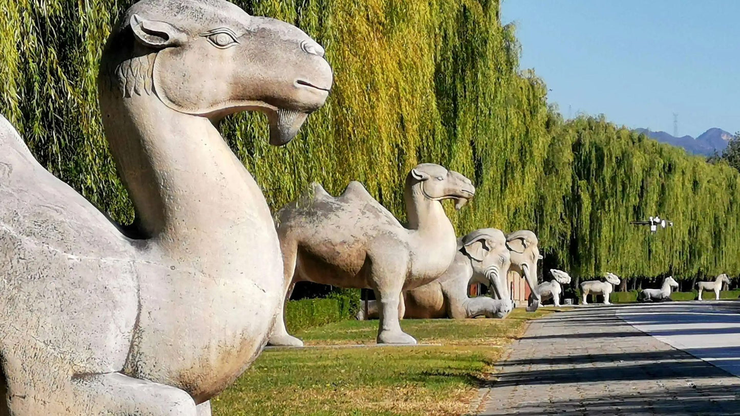Beijing: Discover the Glories of the Past-Juyongguan Great Wall, Scenic Sacred Way & Mysterious Ming Tombs