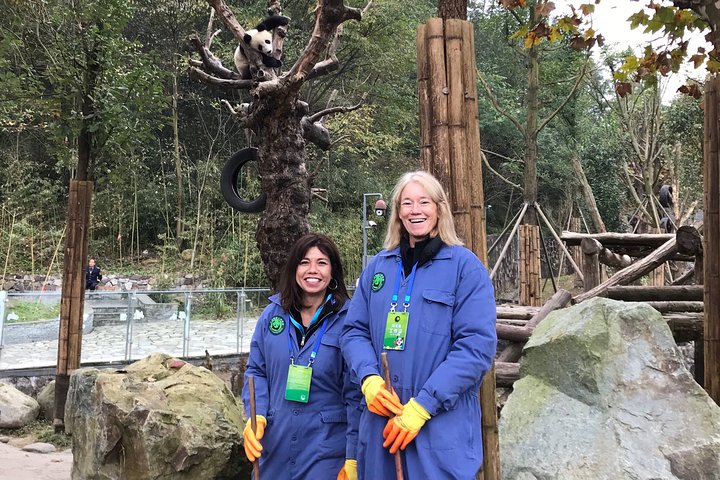 Chengdu: Private Full Day Panda Volunteer Tour