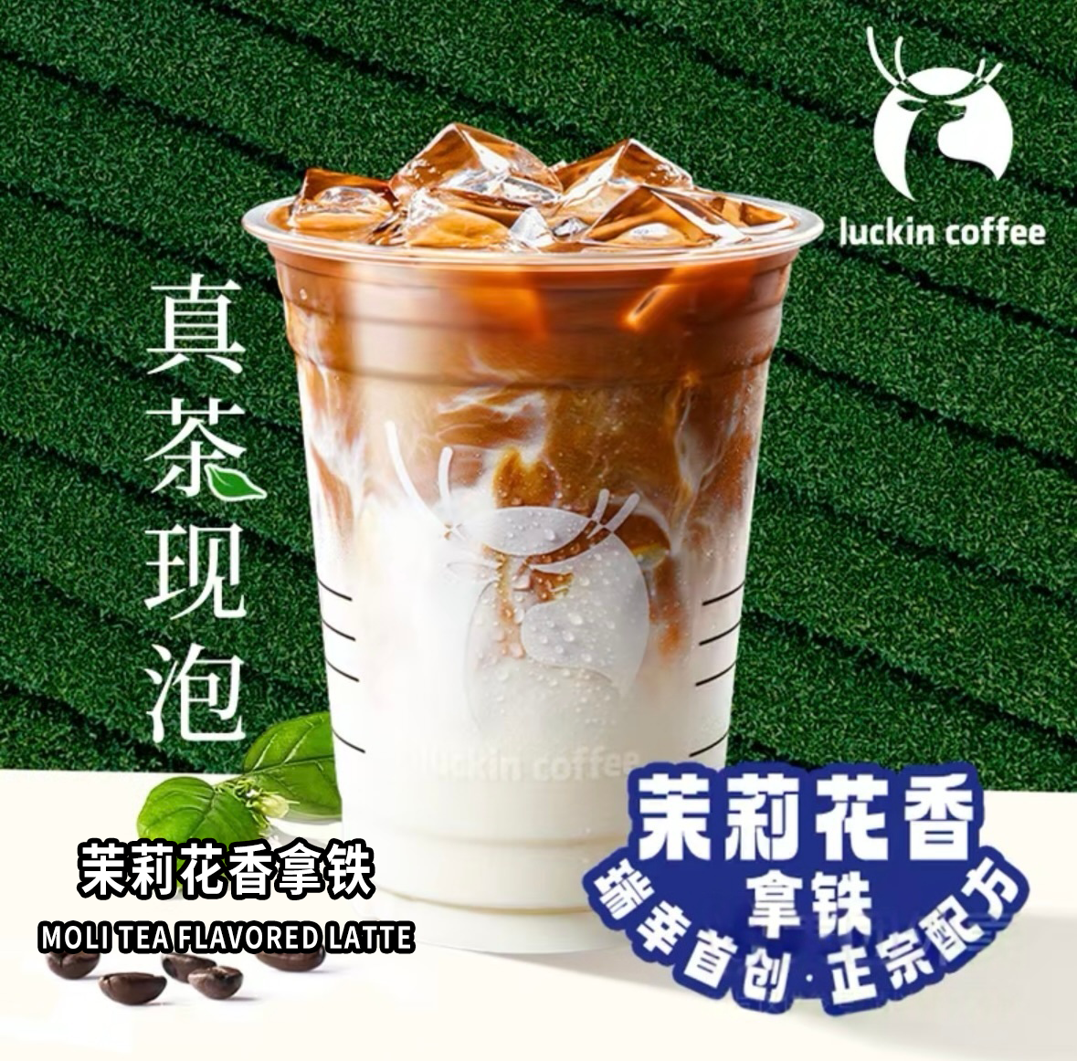 Moli Tea Flavored Latte