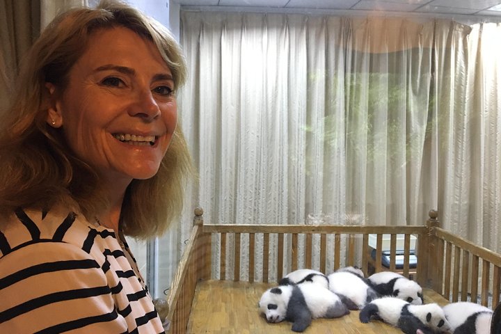 Chengdu: Private Half-Day All-inclusive Chengdu Panda Breeding Center Tour