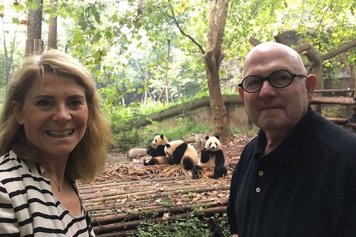 Chengdu: Private Half-Day All-inclusive Chengdu Panda Breeding Center Tour