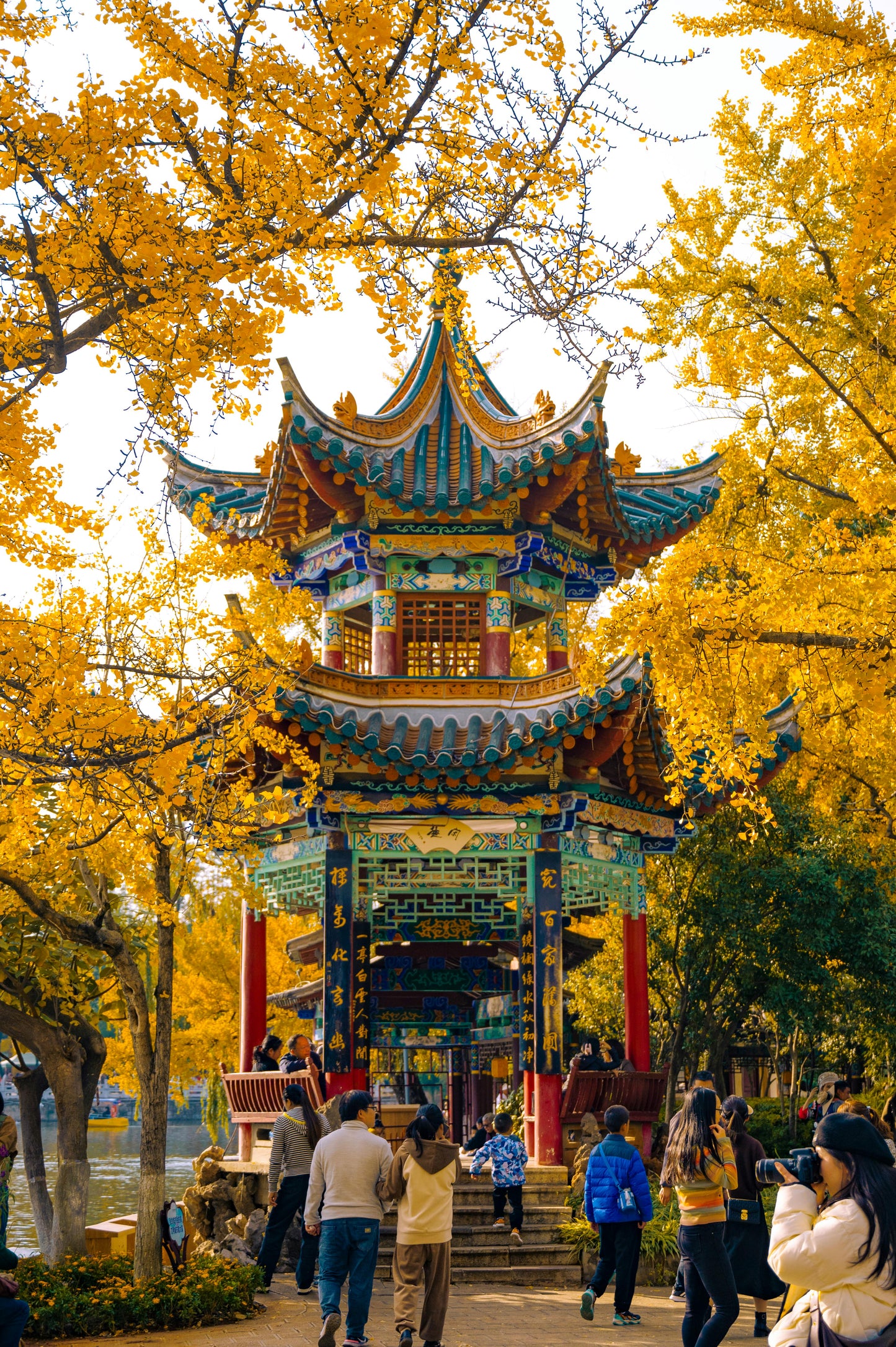 Kunming: The City of Eternal Spring Private Tour (8 hours)
