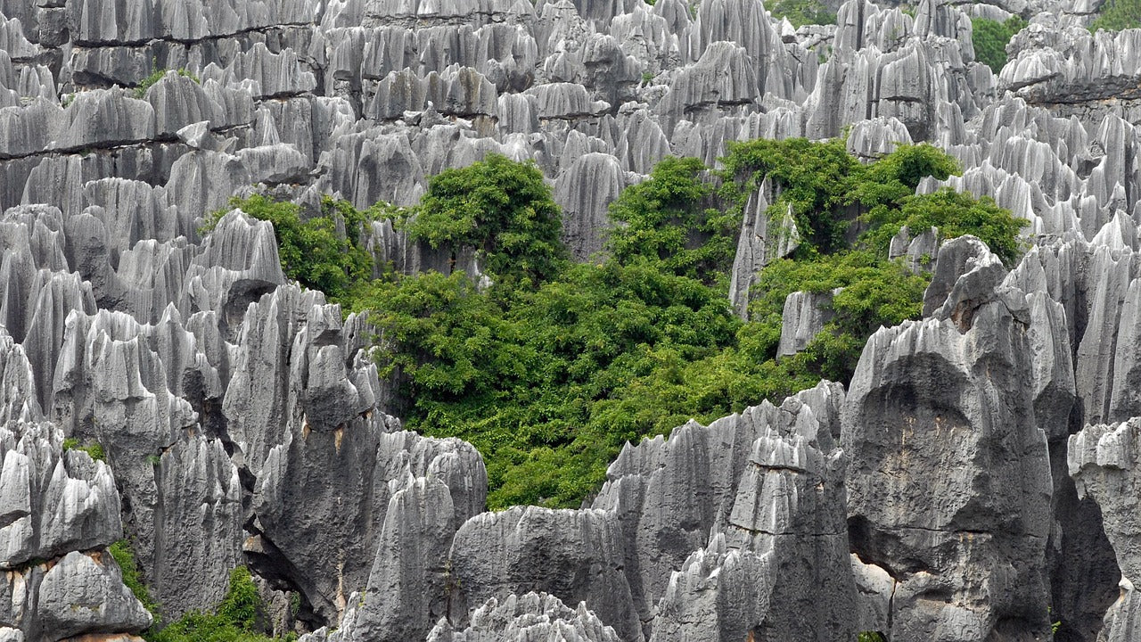 Kunming: The City of Eternal Spring Private Tour (8 hours)