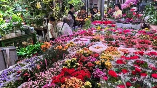 Beijing-flower-market