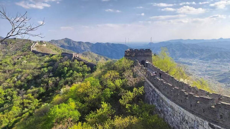 Mutianyu Great Wall: The Ultimate Insider Guide (2026)