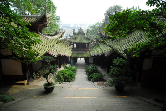 qingcheng-dujiangyan-tour