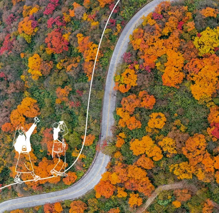 Autumn Leaves & Temple Serenity: A 3-Day Mount Emei Immersion