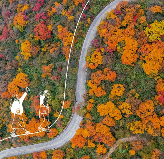 Autumn Leaves & Temple Serenity: A 3-Day Mount Emei Immersion