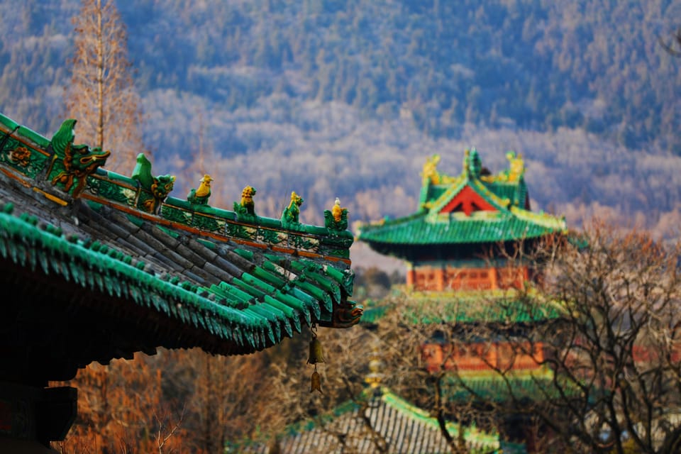 From Luoyang/Zhengzhou: Luoyang Highlights Guided Day Trip