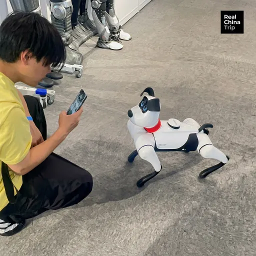 Shenzhen-tech tour