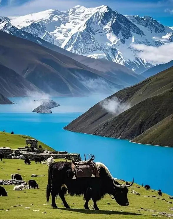 Tibet Panorama: Lhasa & Nyingchi Immersion | 7 Days 6 Nights