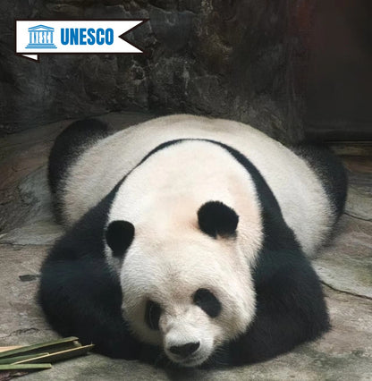 The Ultimate Beijing Experience: Pandas Garden, Summer Palace Splendor, and Temple of Heaven Tranquility