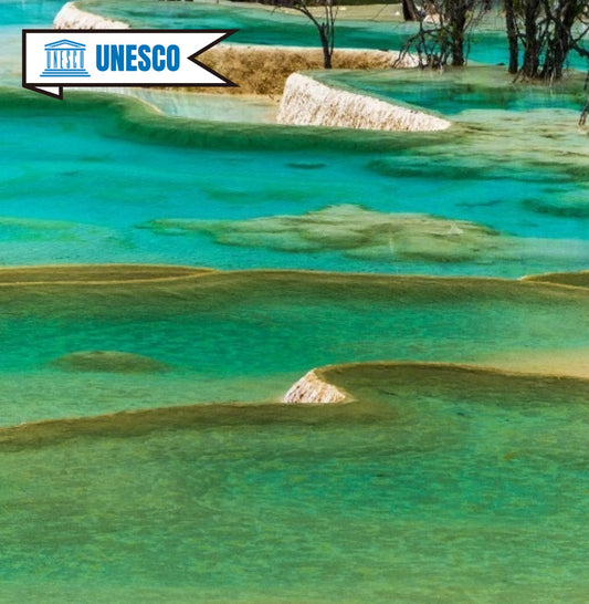 from Chengdu: Private Day Tour to Jiuzhai Valley National Park by Bullet Train
