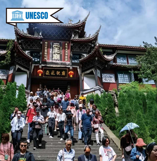 Chengdu: Mount Qingcheng and Dujiangyan Irrigation System Tour