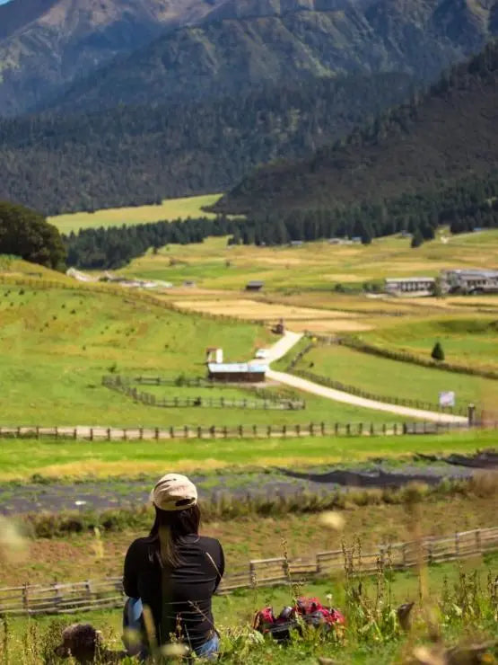 Tibet Panorama: Lhasa & Nyingchi Immersion | 7 Days 6 Nights