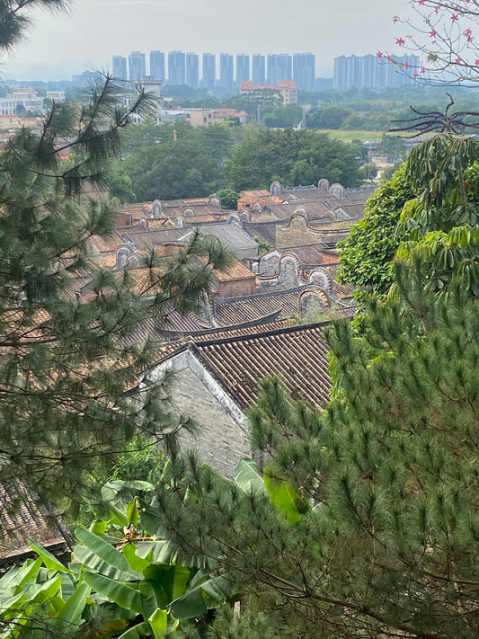 Timeless Lingnan: Ancient Village & Lacquer Fan Art Day Trip | Private Guangzhou Tour