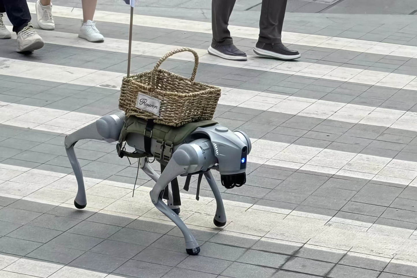 Shenzhen Tech Tour - Humanoids & Robotaxis - 2026 Exclusive | RCT