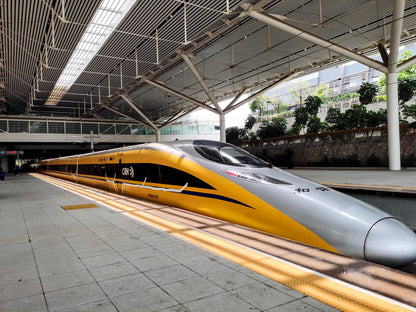 Beijing-Shaolin Temple: A One-Day High-speed Rail Cultural Expedition