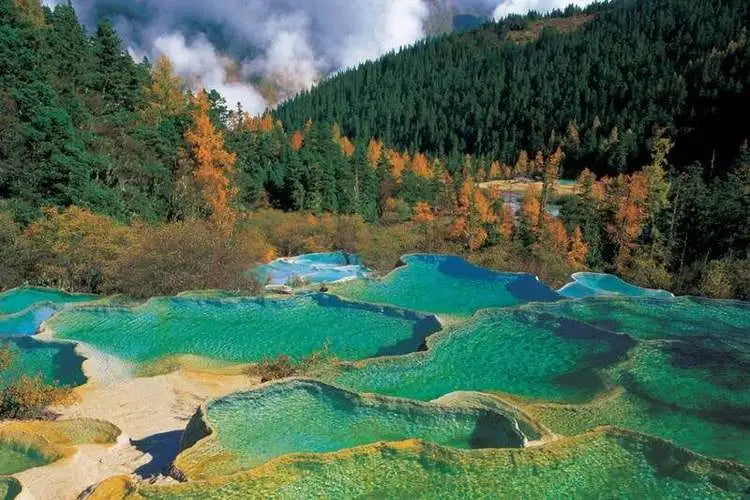 from Chengdu: Private Day Tour to Jiuzhai Valley National Park by Bullet Train