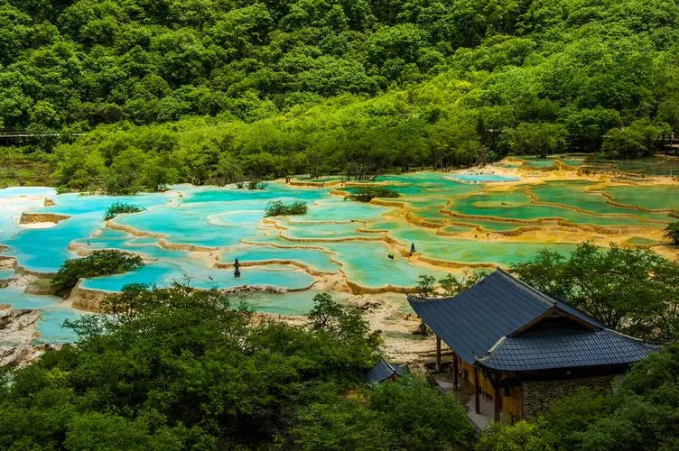 from Chengdu: Private Day Tour to Jiuzhai Valley National Park by Bullet Train